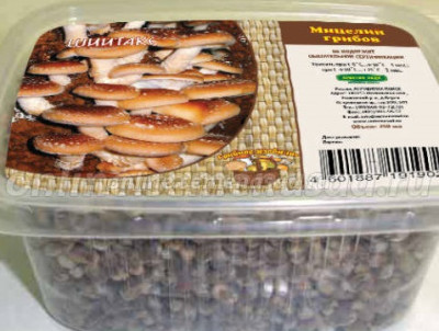 Грибы Мицелий зерновой Шиитаке 250мл пласт. контейнер