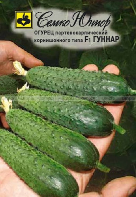 Огурец Гуннар F1