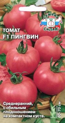 томат Пингвин F1