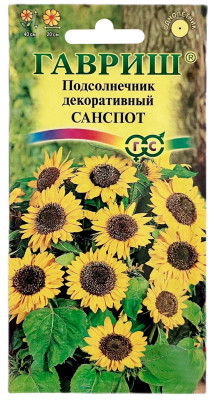 Подсолнечник декоративный САНСПОТ ГАВРИШ