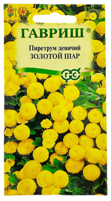 Пиретрум девичий ЗОЛОТОЙ ШАР ГАВРИШ
