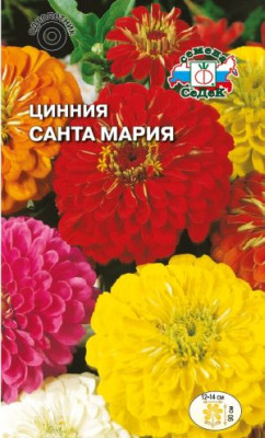 Цинния Санта-Мария калифорнийская гигантская (смесь)