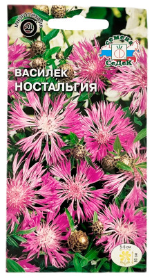 Василек Ностальгия шероховатый СеДеК