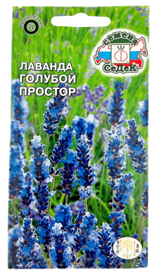 Лаванда узколистная ГОЛУБОЙ ПРОСТОР СеДеК