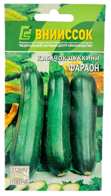 Кабачок цуккини ФАРАОН ВНИИССОК
