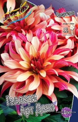 Георгина Гэллери Арт Деко (1шт) 6423