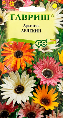 Арктотис гибридный  Арлекин, смесь ГАВРИШ