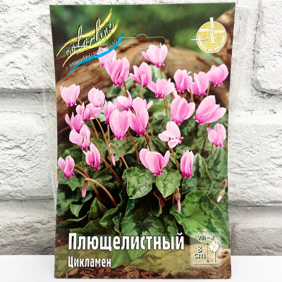Цикламен ПЛЮЩЕЛИСТНЫЙ
