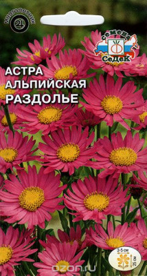 Астра Раздолье (альпийская, розовая)