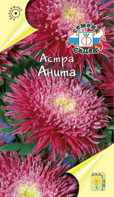 Астра Анита