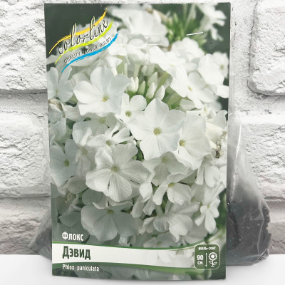 Флокс ДЭВИД