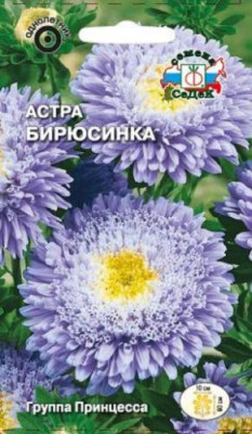 Астра Бирюсинка принцесса