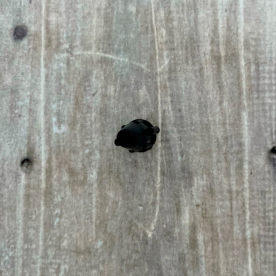 Сопло в сборе РК-307м-100 Исток (3)