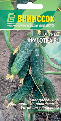 Огурец Красотка F1 10шт