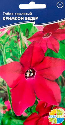Табак цветущий крылатый Кримсон бедер