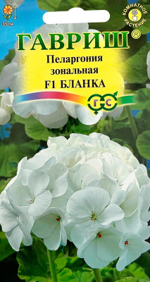 Пеларгония Герань Бланка F1 зональная* 4 шт. Пеларгония Герань Бланка F1 зональная* 4 шт.