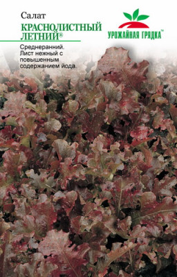 Салат Краснолистный Летний УГ