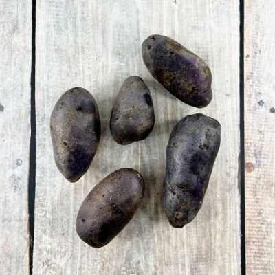 Картофель семенной Фиолетовый (фасовка 5шт)