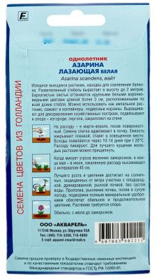 Азарина Лазающая белая (вайт) АКВАРЕЛЬ описание