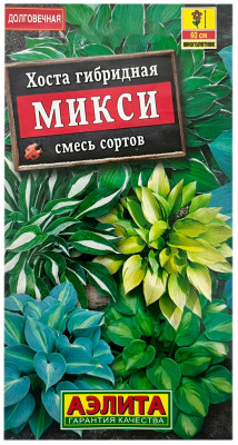 Хоста гибридная МИКСИ смесь сортов АЭЛИТА
