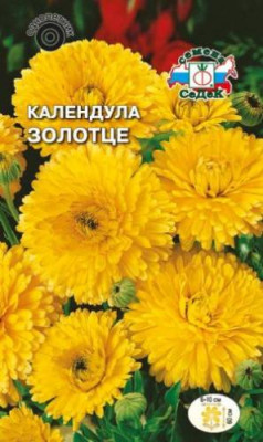 Календула Золотце