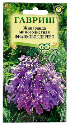 Жакаранда мимозолистная ФИАЛКОВОЕ ДЕРЕВО ГАВРИШ