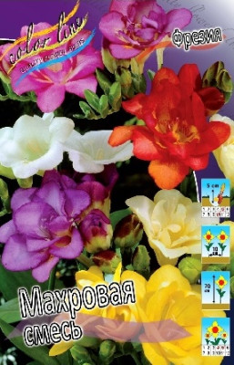 Фрезия смесь 25шт