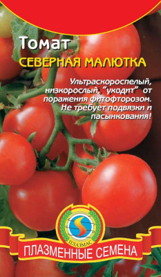 Томат Северная малютка