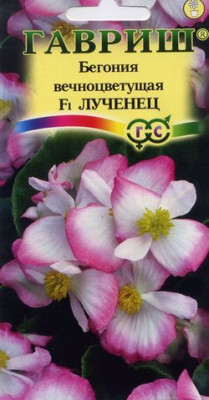 Бегония Лученец F1 вечноцв.  гранул. 5 шт. пробирка Н9
