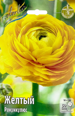 Ранункулюс Желтый (10)