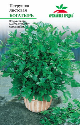 Петрушка Богатырь УГ