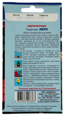 Георгина МЕРИ АКВАРЕЛЬ описание