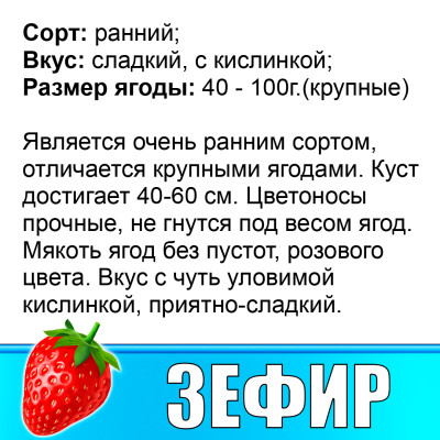 Земляника (Клубника) Зефир в стаканчике