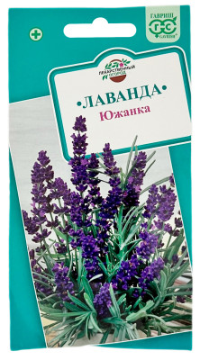 Лаванда узколистная Южанка ГАВРИШ