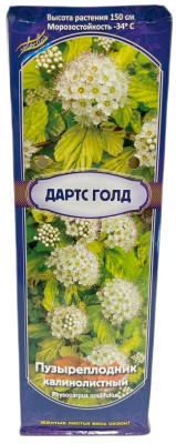 Пузыреплодник Дартс Голд