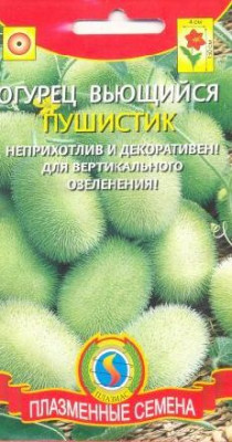 Огурец Пушистик вьющийся декоративный