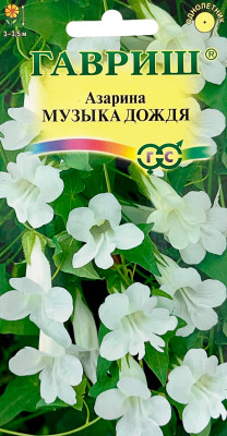 Азарина Музыка дождя 5 шт.