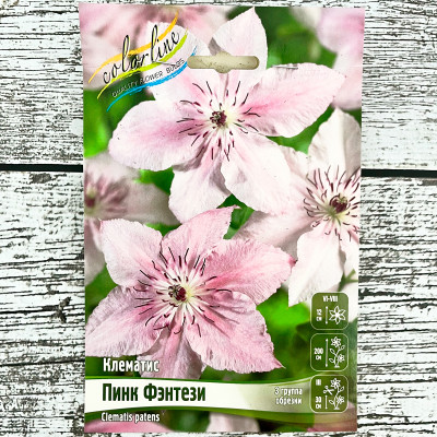 Клематис ПИНК ФЭНТЕЗИ (3 группа обрезки)