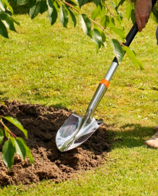 Лопата штыковая мини нержавейка 126см 1504 ЦИ