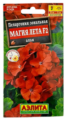 Пеларгония зональная МАГИЯ ЛЕТА F2 АЛАЯ АЭЛИТА