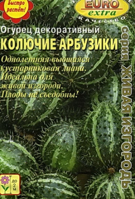 Огурец Колючие арбузики декоративный Огурец Колючие арбузики декоративный