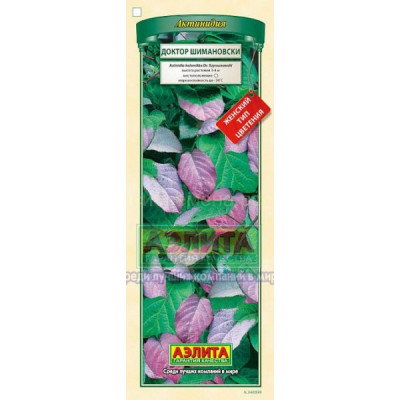 Актинидия коломикта Доктор Шимановски (женский тип)