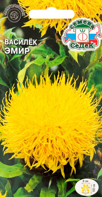 Василек Эмир (вид крупноголовчатый, желтый)