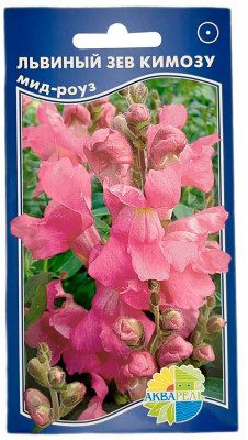 Львиный зев КИМОЗУ мид-роуз АКВАРЕЛЬ