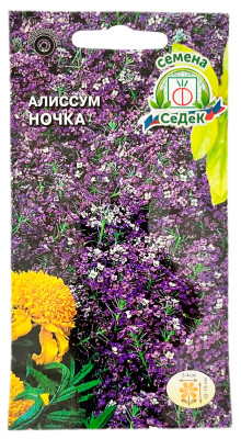 Алиссум морской НОЧКА СеДеК