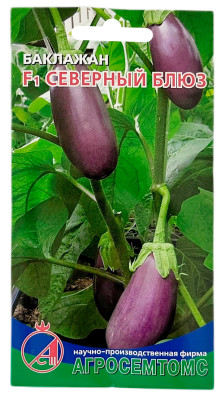 Баклажан СЕВЕРНЫЙ БЛЮХ АГРОСЕМТОМС