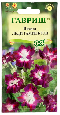 Ипомея ЛЕДИ ГАМИЛЬТОН ГАВРИШ