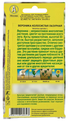 Вероника колосистая лазурная АЭЛИТА описание Вероника колосистая лазурная АЭЛИТА описание