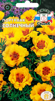 Портулак Солнечный