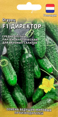 Огурец Директор F1 5 шт (Голландия)